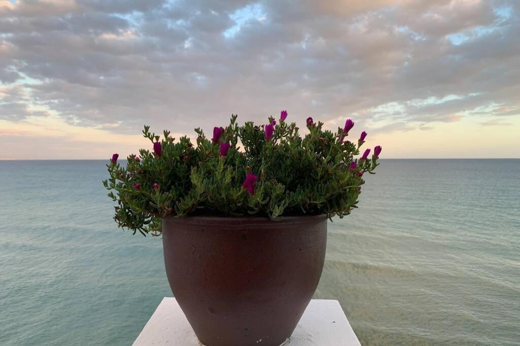 Amazing frontline sea views Studio apartment Castillo Del Vigia Torremolinos Esterno foto